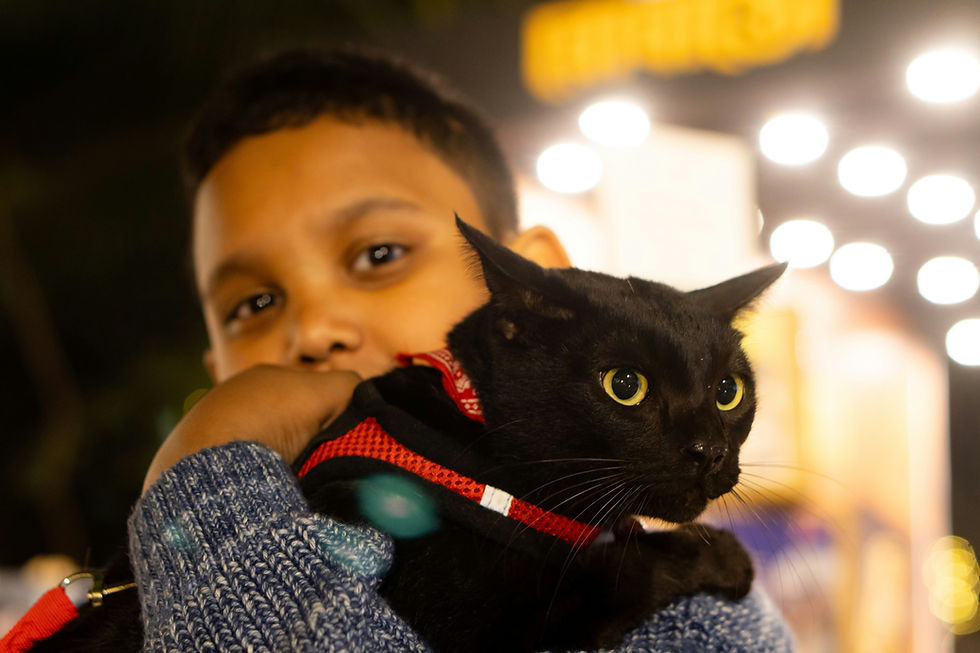 un enfant avec un chat dans les bras