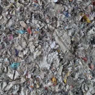 Cellulose as Insulation: A Sustainable Innovation in the Blue Economy