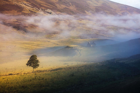 Image by martin bennie