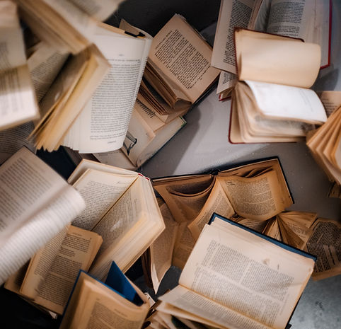 Livres Nouvelles