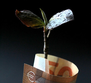 Image by Anne Nygård