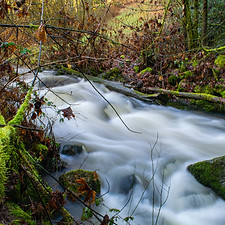 North Vancouver best Aplliance repair