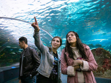 8 Summer Marine Biology Programs for Middle School Students in Boston