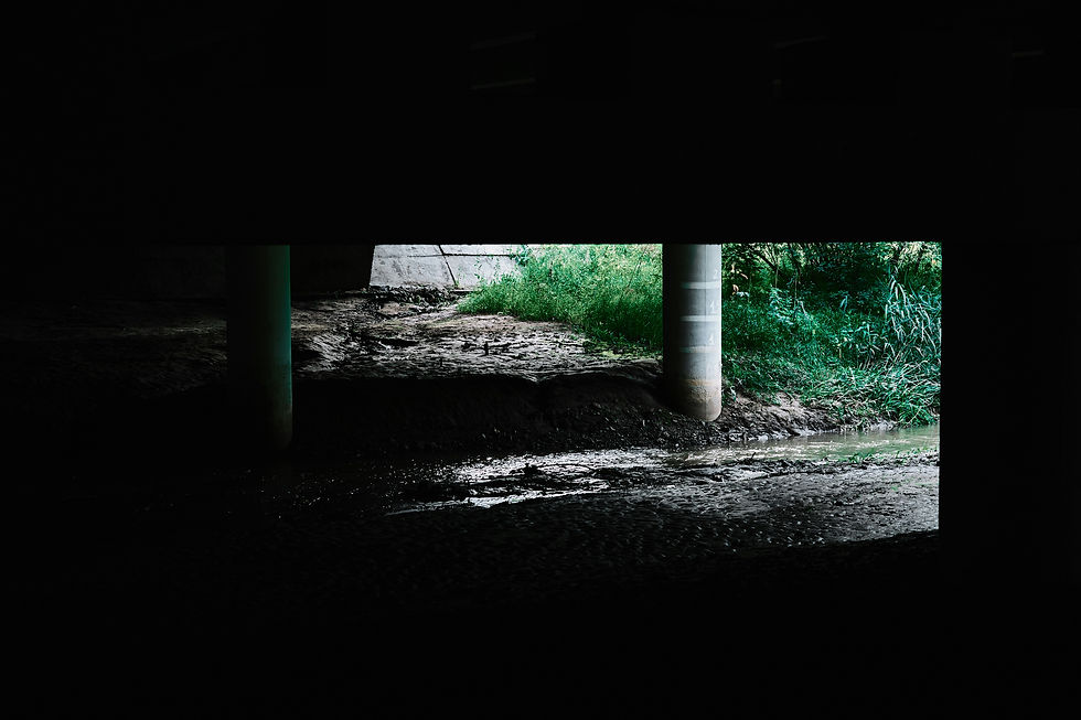 Crawlspace Water Removal and Drying White Glove Plumbing & Restoration