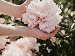 Did you know good smells literally make us happy? 🧠💖