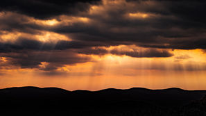 Scripture Reflection - April 25, 2021