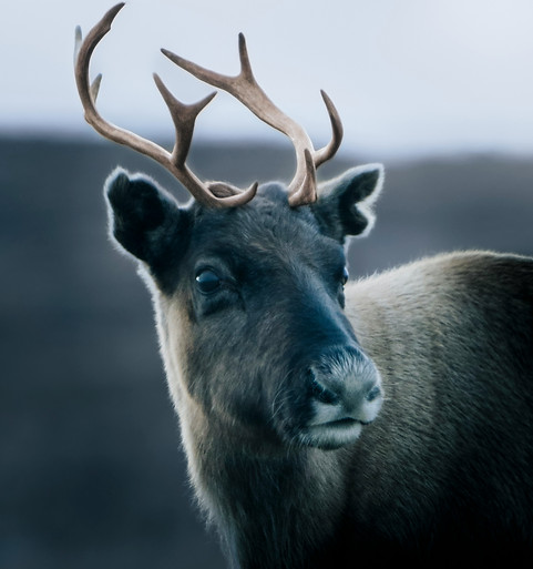 Image by Christoph Nolte
