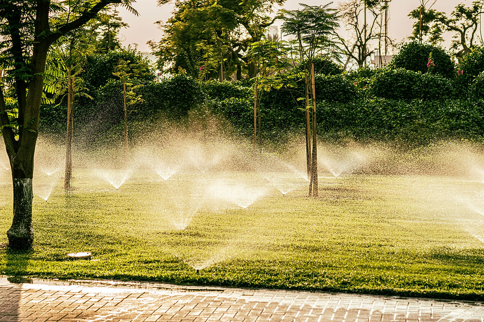 Image by aboodi vesakaran