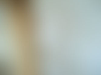 cal behing table leg looking curious