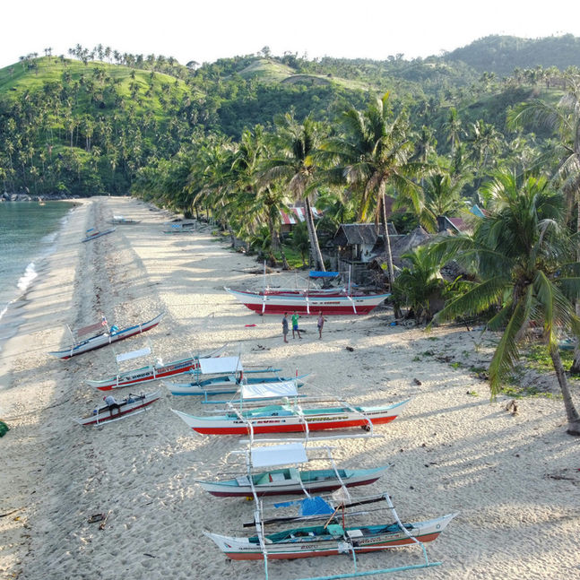 Palawan Expedition by Expedition Palawan Philippines