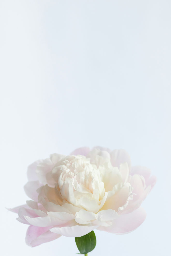 Image by Fiona Murray-deGraaff