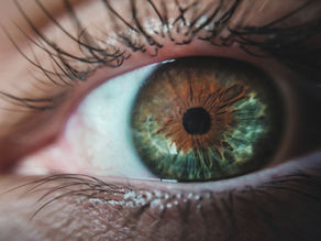 Regenerative Therapy for Retinal Disorders