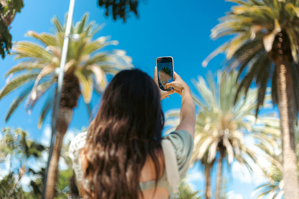 Woman taking selfie in palm trees
