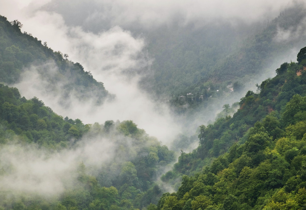 Image by Pourya Sharifi