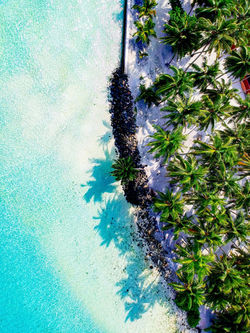 Image by Adventures ofmaldives