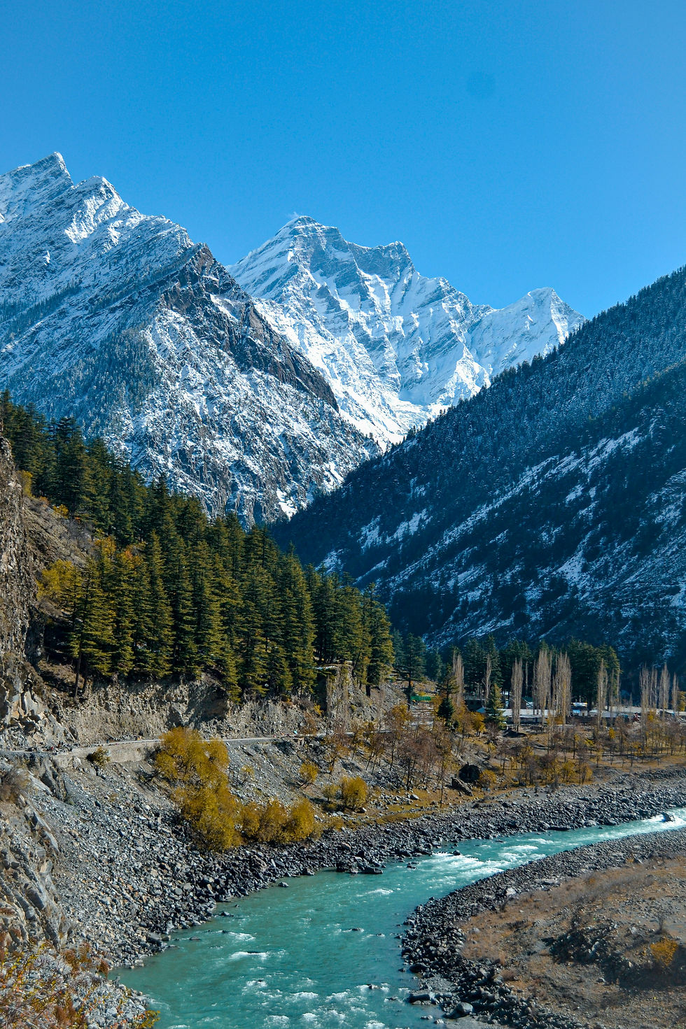 Manali, Himachal Pradesh
