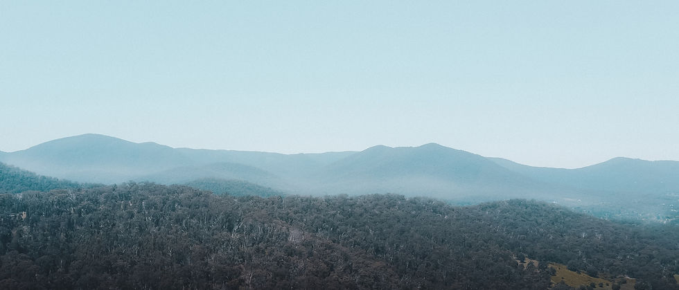 Image by Pat Whelen