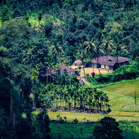 Glimpses of India