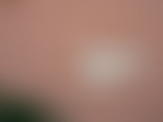 Signs Your Home Needs Exterior Painting (Before Damage Gets Worse)