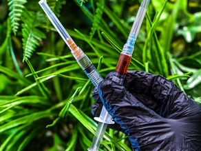 Sermorelin vs. CJC-1295: Choosing the Right Growth Hormone Peptide for Your Goals