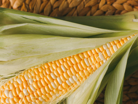 Tidbits, U.S. Economy, Brazilian Corn Demand, EU Imports, Broilers & Ethanol 3/20/25
