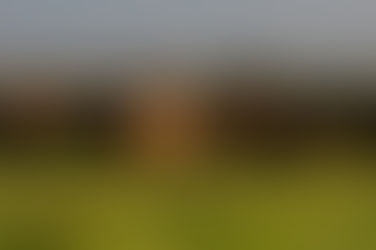 Más que criaturas: coronados de honra por el Creador del universo