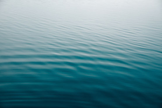 Image by Holly Mandarich