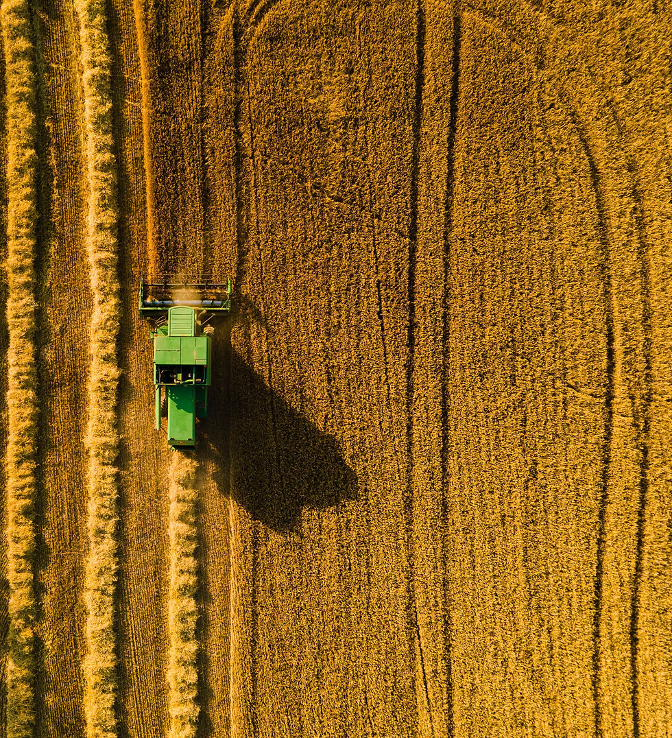 Wheat field with machine from bird view