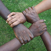 Image de Iwaria Inc.