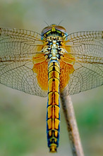 Image by kalai venthan gopal