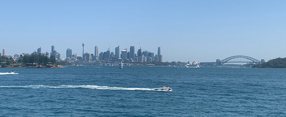 View of city from Vaucluse