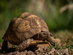 The Real Reason Business Owners Lose Momentum Mid-Quarter Revealed