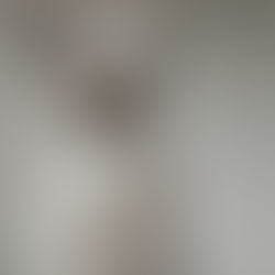 British Blue Point Cats