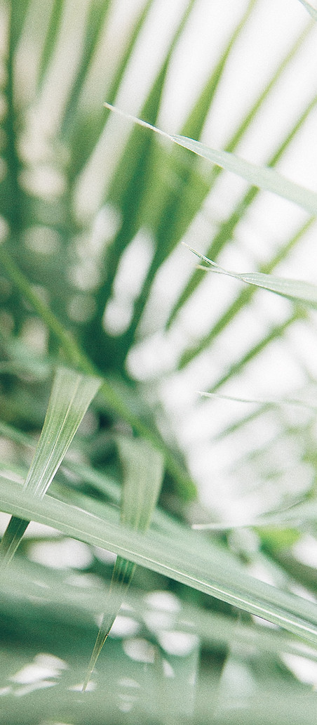 Image by Alex Perri