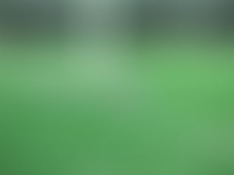 Chloe Kelly : la "Lioness", fierté d'une nation