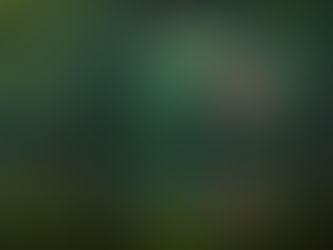 Why Should I Use A Drone For The Video Tour of My Airbnb?