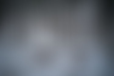 Wild Boar (Sus scrofa) Nature & Lore