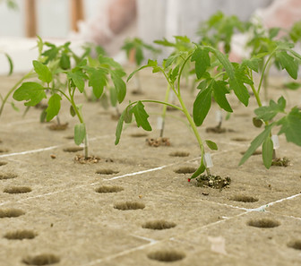 Image by Brands&People