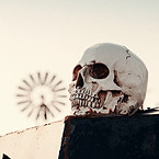 Image by Phil Korn