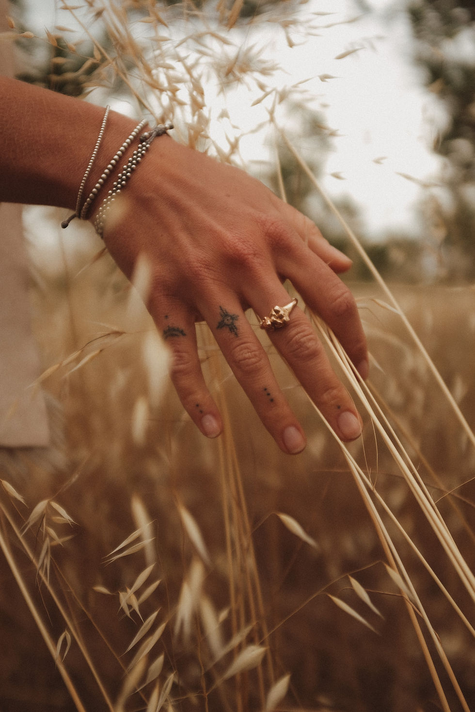 Image by Katharina Roehler