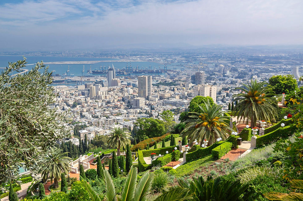 licensed tour guide Israel
