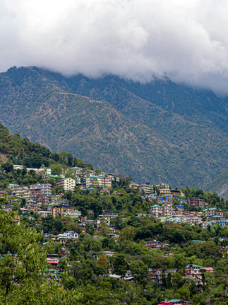 Best Places to Visit in Dharamshala (2026): Top Attractions, Treks & Local Tips