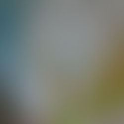 サビアンシンボル魚座