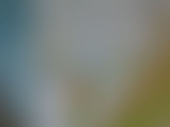 サビアンシンボル魚座