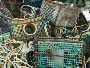 The Best Practice Trap: Why Approving a System Isn't the Same as Governing One