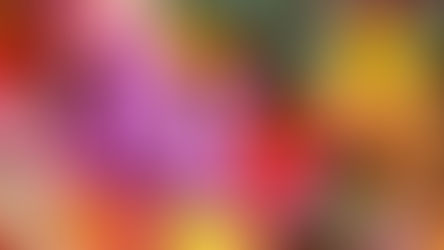 Samhain: Honouring the Last Harvest and the Cycle of Life