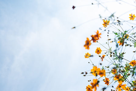 Image by Masaaki Komori
