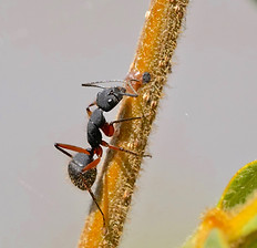 Image by Cherre Bezerra Da Silva