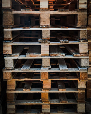 Image by Mika Baumeister
