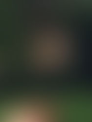 What's New Spotlight: July 2021